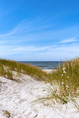 Sandy Path through the dunes leading to the beach. Sandy beach, Baltic Sea