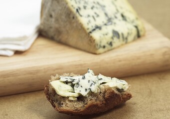 Bleu des Causses, French Cheese in Aveyron, made with Cow's Milk