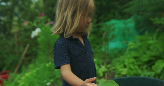 Preschooler exploring vegetable garden