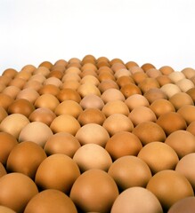 Display of Chicken Eggs