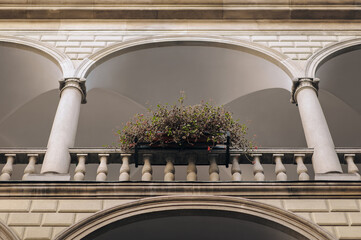 Old arched balcony, baroque style with columns and balustrade and flower pot. © shchus