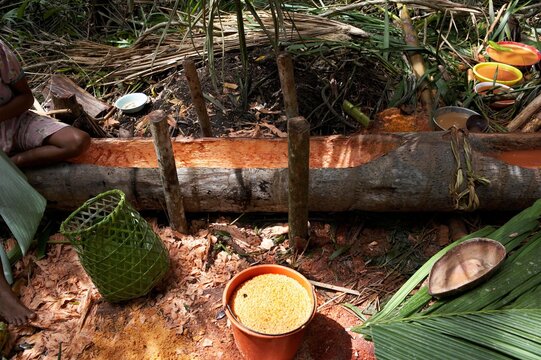 Orinoco Bilder Durchsuchen 1,731 Archivfotos, und