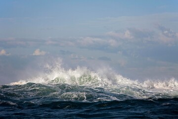 Wave, Coast at Hermanus in South Africa