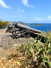 Old cannon at Fort Duvernette, Saint vincent