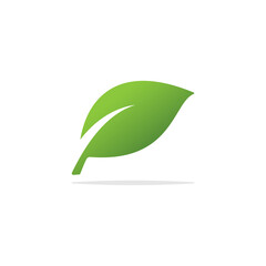 Green Leaf logo vector design template.