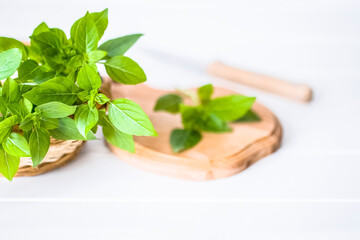 sprigs of fresh basil in a wicker basket close-up. background with fresh fragrant basil.