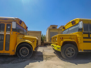 yellow school buses