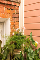 Fototapeta na wymiar An English Back garden with flower filled wall baskets and flowerpots. English Village Cottage.