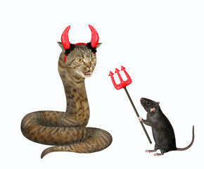 The beige cat snake is wearing red devil horns for Halloween. A black rat a trident is next to it. White background. Isolated.
