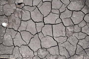 Background. The soil cracked from the heat.