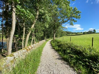 Fototapeta na wymiar Gravel footpath, leading past a reservoir, with fields, dry stone walls, and old trees in, Fewston, Harrogate, UK