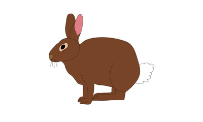 brown rabbit vector illustration
