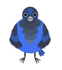 Animal bird of blue color in cartoon style. Drawing isolated on white background. Stock vector illustration.