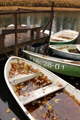 Павловский парк. Россия
Autumn Park Pavlovsk. Russia