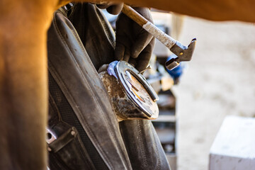 Horse farrier at work - trims and shapes a horse's hooves and hammering a horseshoe to a horse's hoof. The close-up of horse hoof, nail and hammer. - 370041103
