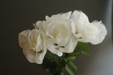 having fun with several white petal roses, which are fake or artificial, implies beauty or love or cheap sake, lies,  temp, romance, sex, patterns and nature