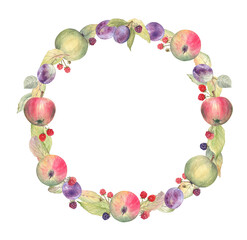 Wreath of apples, plums, raspberries, blackberries and leaves on a white isolated background. For summer and autumn harvest season, perfect for cards and invitations. Watercolor illustration. 
