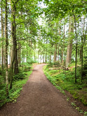 Fototapeta na wymiar Hiking trail in green forest signifying the importance of adventure and fitness in life . Gothenburg Sweden