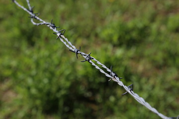 Fragment of barbed wire on a green background