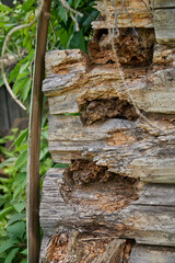 Abandoned log house. Collapsing corner of a wooden house. Damaged logs close up