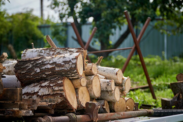 Birch logs are stacked and prepared for felling against the backdrop of a support for cutting logs. Close-up