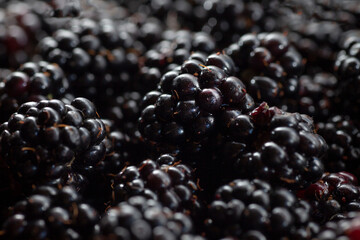 blackberry