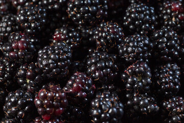 blackberry