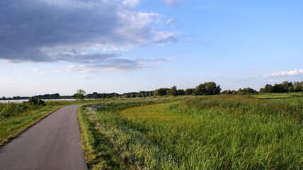 Fototapeta na wymiar Sommerliche Wiesenlandschaft mit blauem leicht bewölktem Himmel