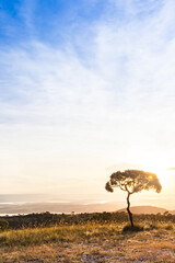Plakat Sunset at Serra da Canastra National Park - Delfinopolis, Minas Gerais, Brazil