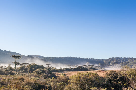 Frozen wheater at Cambara do Sul, Rio Grande do Sul, Brazil