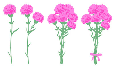 カーネーション　ピンク　線無し