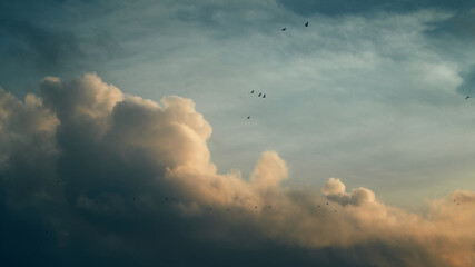 birds flying across sky and clouds