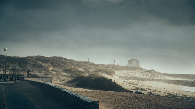 village and dunes in winter