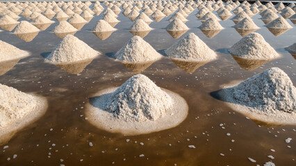 Sea salt stacked in salt fields