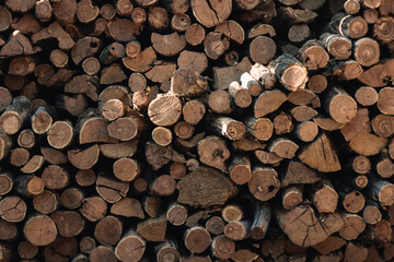 Fototapeta premium the wooden beams are stacked on top of each other. Wood for the fireplace is waiting for the heating season. Wood texture