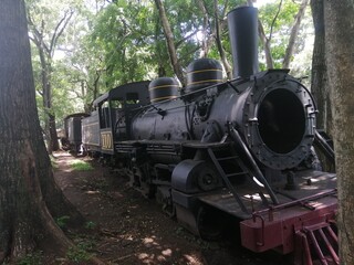 Fototapeta premium atrapado