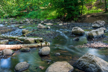 Naklejka na ściany i meble Long exposure of creek in forest summer time.