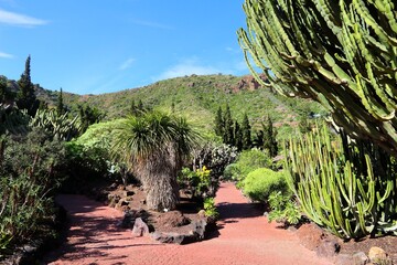 Jardin Canario gardens