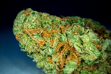 Fototapeta premium Close up macro shot of a heap medical marijuana bud on black background