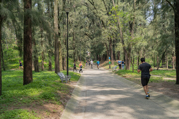 Hay muchas personas caminando y corriendo en el bosque.