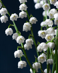 Lily of the Valley in a small vase