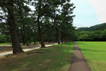 Fototapeta premium 出雲大社 島根