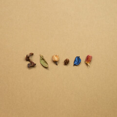 Autumn dry leaves and plant on brown kraft paper background. flat lay, top view, copy space