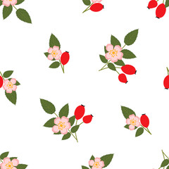Rose hip. Seamless Vector Patterns