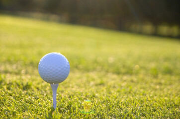 White Golf Ball on a Tee with Golden Grass Facing the Sun