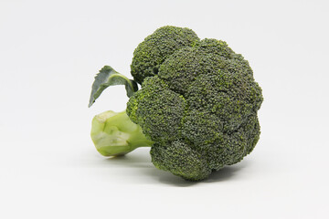 broccoli isolate on white background