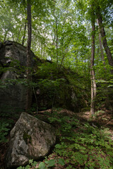 Huge glacial boulders along a mixed boreal forest trail in Frost Centre in Ontario 