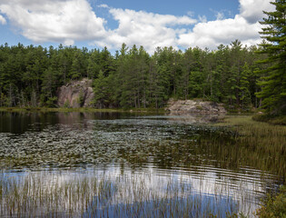 Rocky shore on a pond and forest  in Ontario Canada  on a bright summer day