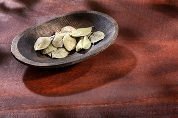 Peumus boldus - Dried and healing boldo leaves