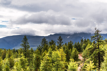 Ulagan pass. Mountain Altai
